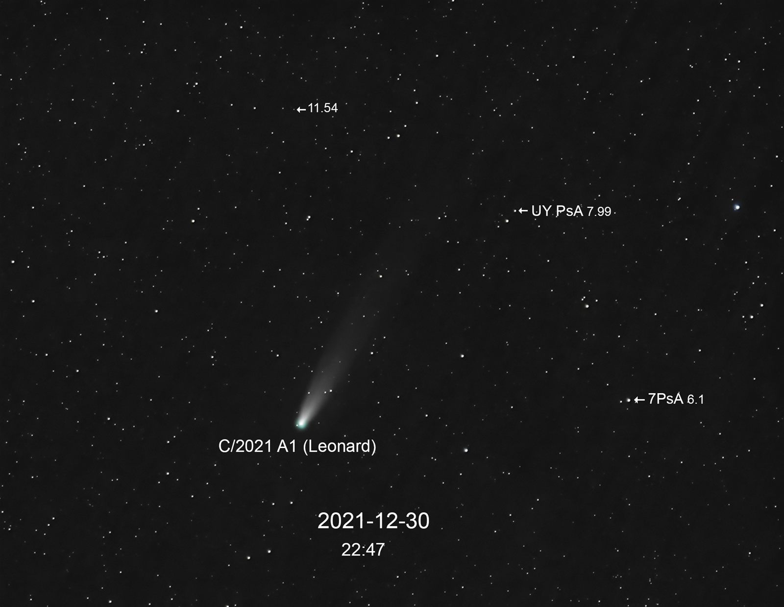 C/2021 A1 (Leonard)