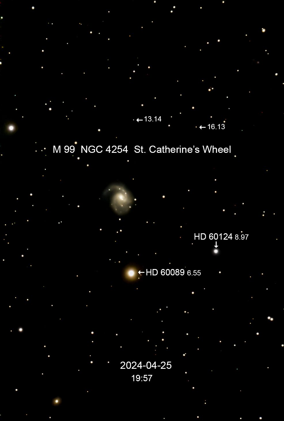 M 99 NGC 4254 St. Catherine’s Wheel
