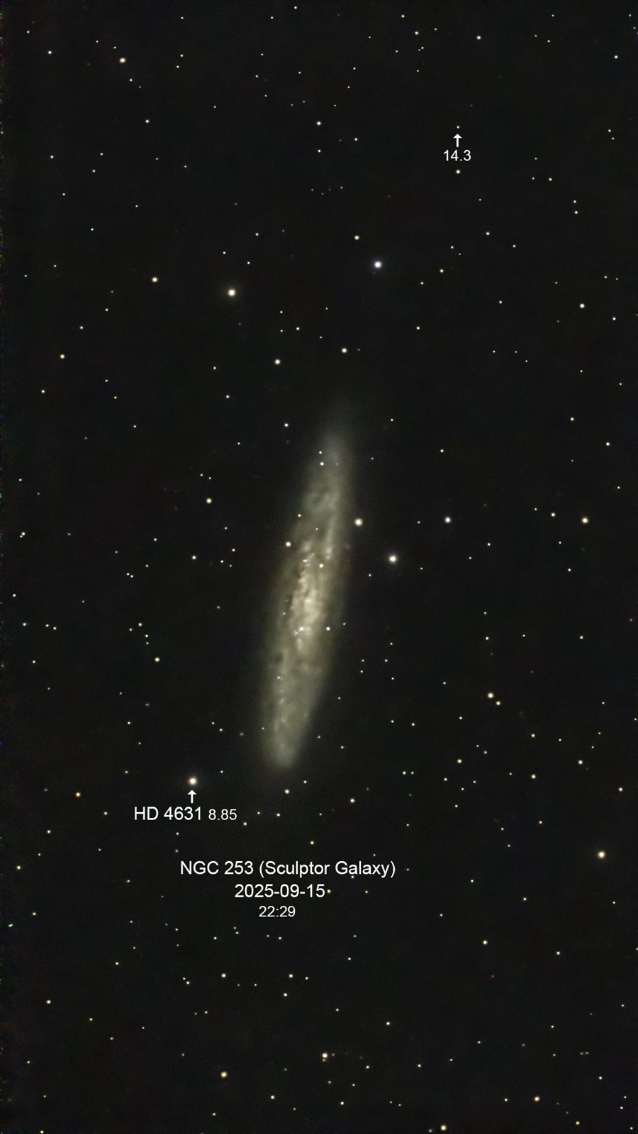 NGC 253 Sculptor Galaxy