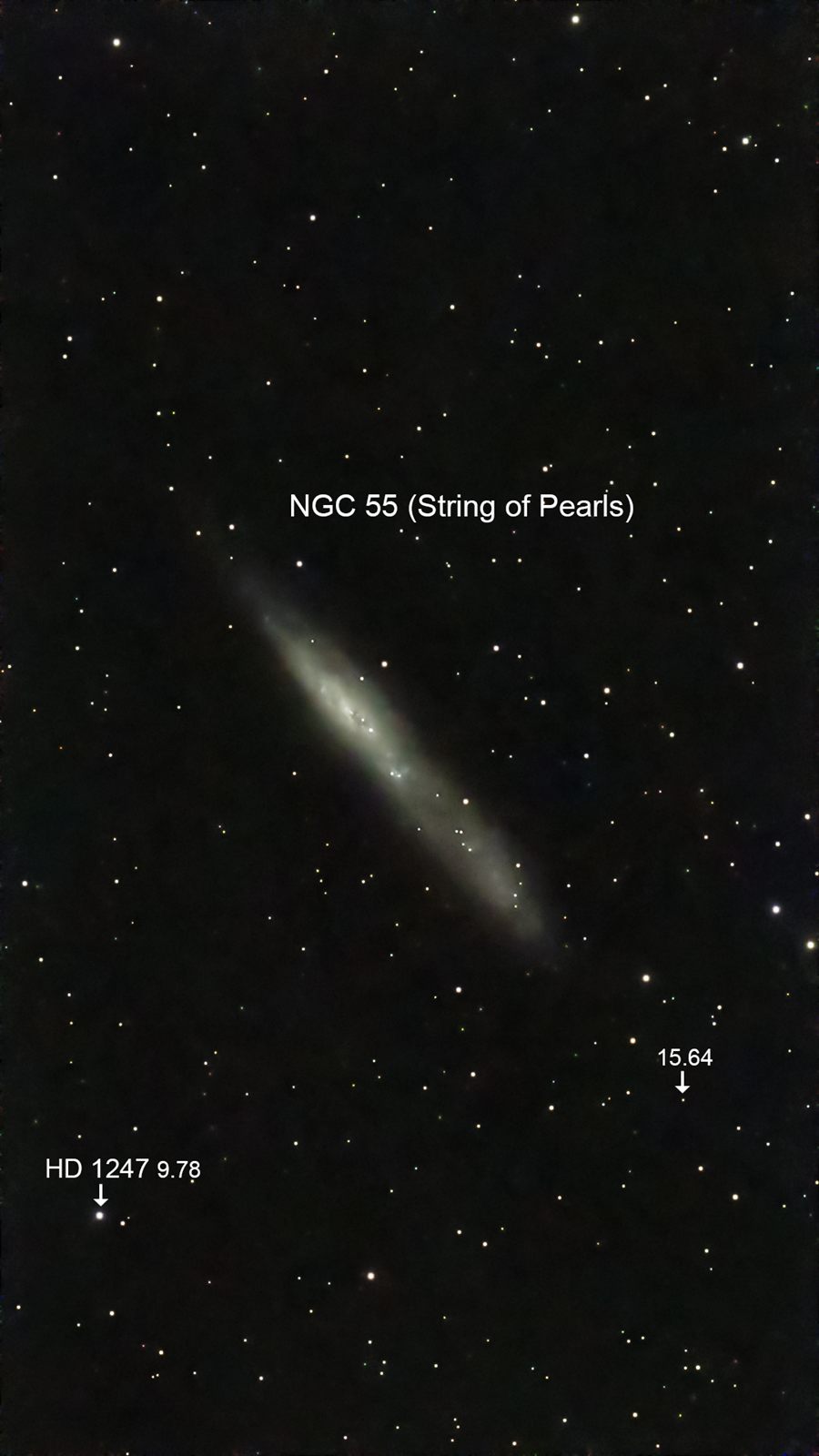 NGC 55 String of Pearls Galaxy