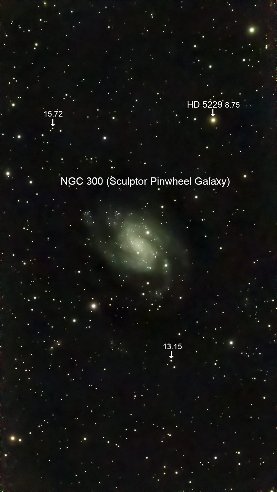 NGC 300 Sculptor Pinwheel Galaxy