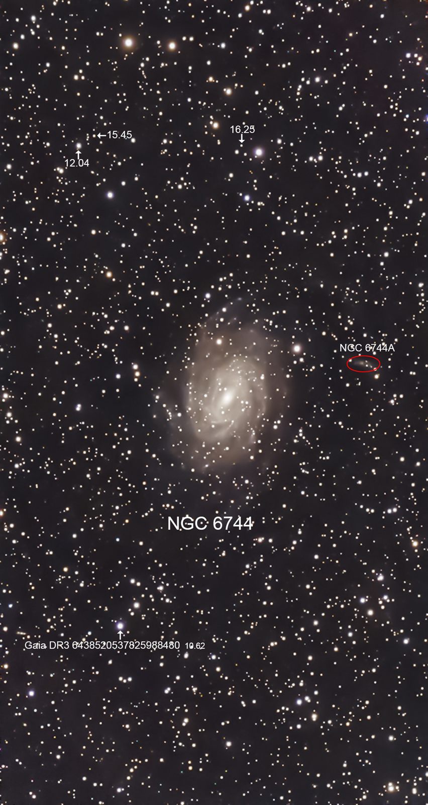 NGC 6744 C 101 Pavo Galaxy