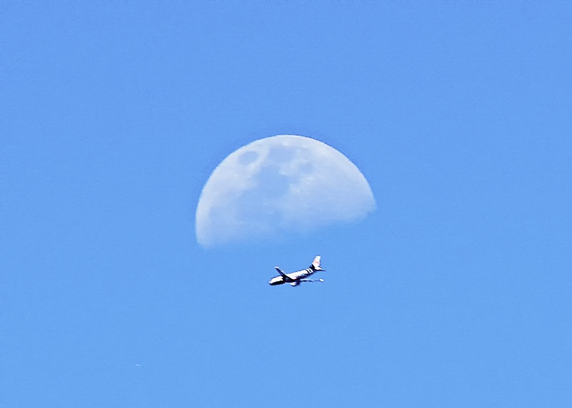 The Moon
