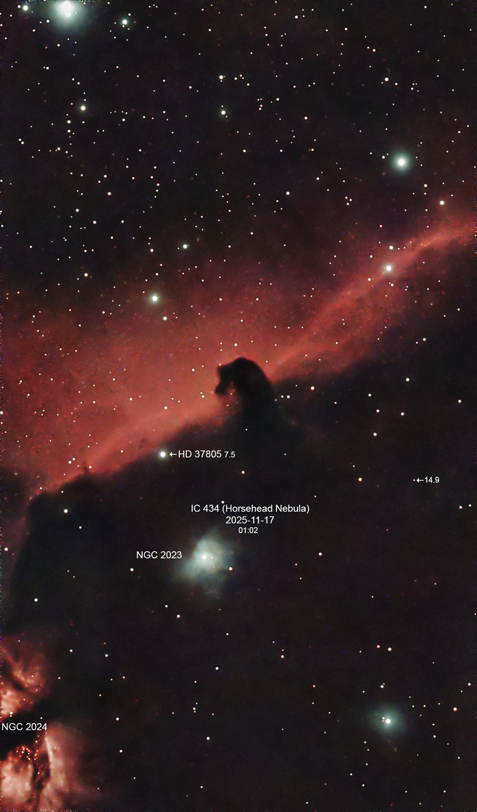 Horsehead Nebula (Barnard 33)