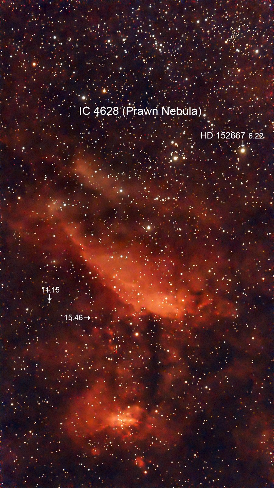 IC 4628 Prawn Nebula