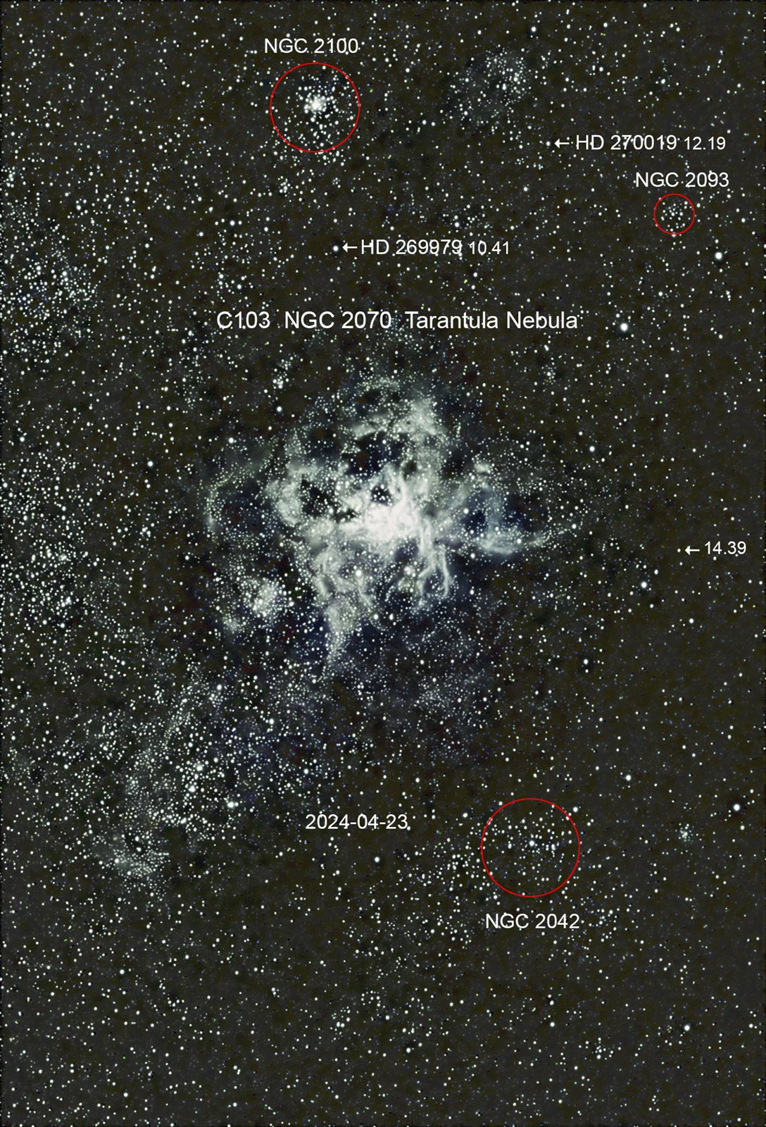 NGC 2070 Tarantula Nebula