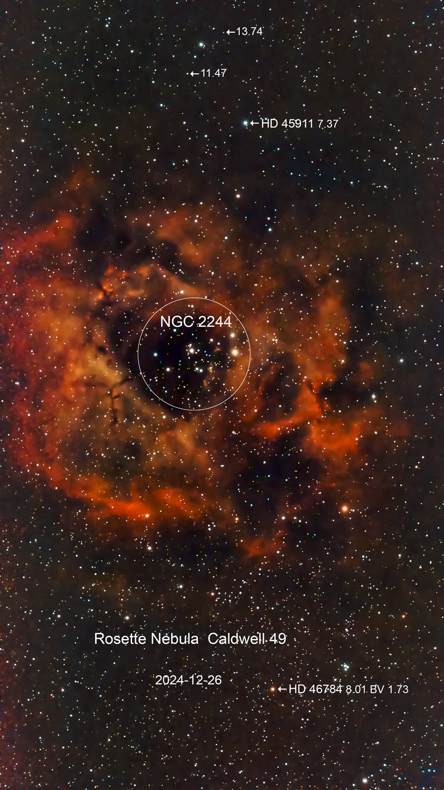 NGC 2237 C 49 Rosette Nebula and NGC 2244