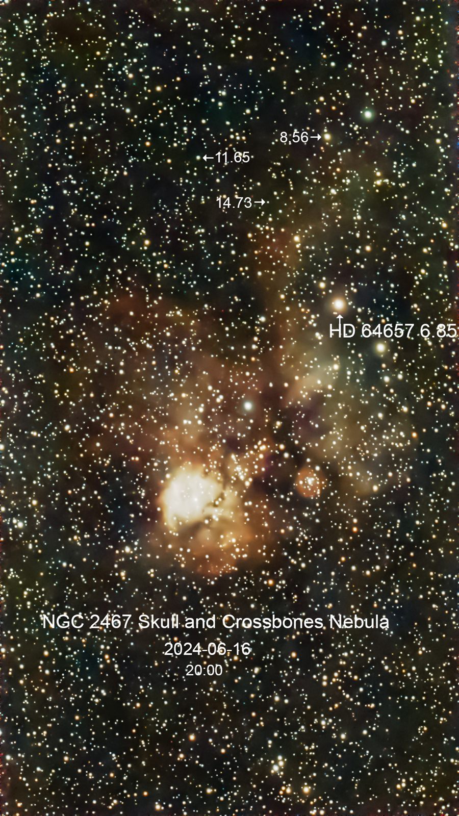 NGC 2467 Skull and Crossbones Nebula
