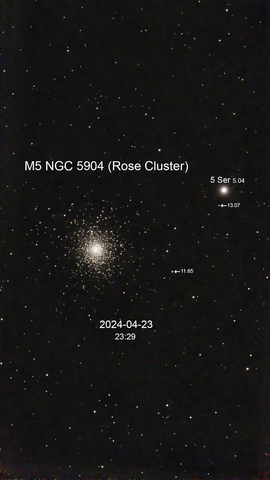 M 5 NGC 5904 (Rose Cluster)