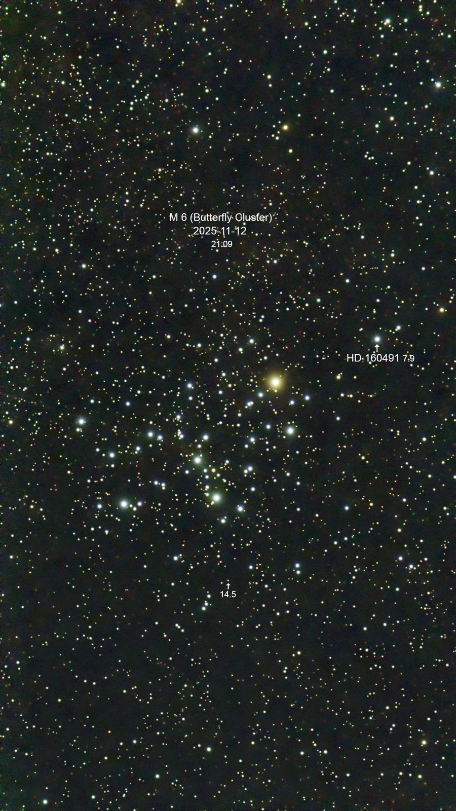 M 6 NGC 6405 (Butterfly Cluster)