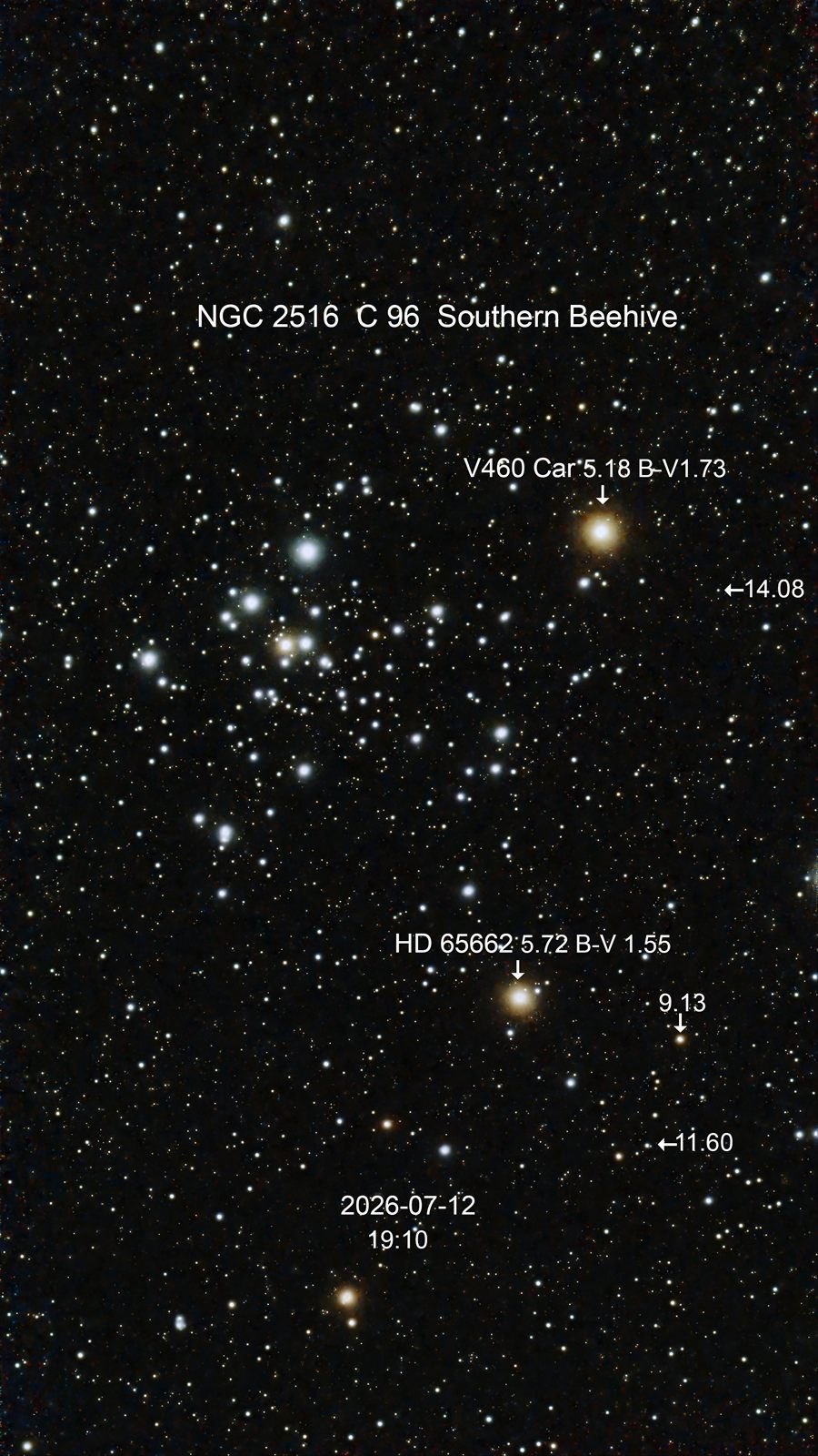 NGC 2516 C 96 Southern Beehive