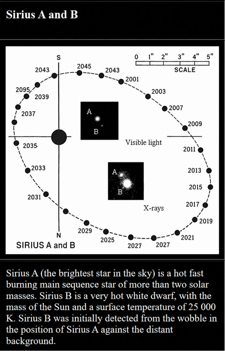 Sirius, the Dog Star